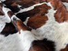 Exotic Tricolor Cowhide Rug , Size: X-Jumbo(XXL), Code: AZ05