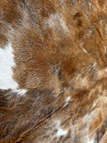 Exotic Cowhide Rug , Size: X-Jumbo(XXL), Code: AZ32