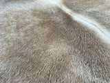 Beige Palomino Cowhide Rug , Size: Jumbo(XL), Code: AW58